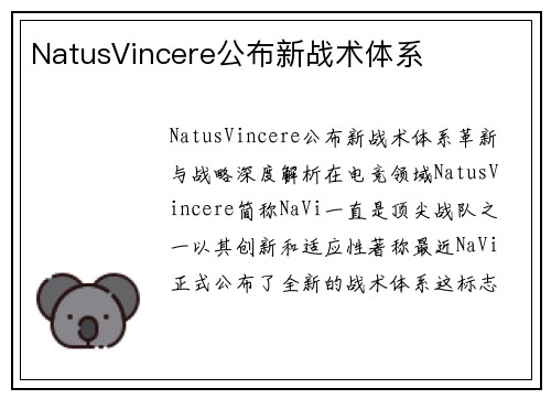 NatusVincere公布新战术体系